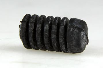 Stootrubber motorkap, Ophalen of Verzenden, Nieuw