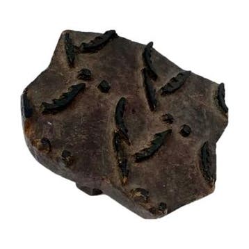 Latex verfstempel - Behang patroon - Hout, Ophalen of Verzenden