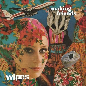 cd - wipes - MAKING FRIENDS (nieuw), Verzenden, Zo goed als nieuw