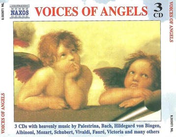 cd box - Various - Voices Of Angels, Verzenden, Zo goed als nieuw