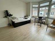 Studio Condéstraat in Maastricht, Overige soorten, Limburg