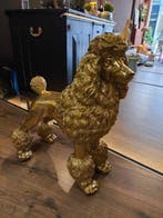 Beeld, Poedel in goudlak - 80 cm - Polyresin - 2026, Nieuw