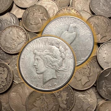 Peace Dollar diverse jaren en condities (prijs per stuk), Verzenden, Munten