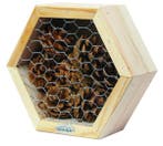 ECOstyle Insectenhotel voor lieveheersbeestjes en, Verzenden