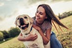 Retriever of Spaniël? Voorkom hoge dierenartskosten, Dieren en Toebehoren, Honden | Retrievers, Spaniëls en Waterhonden, Nederland