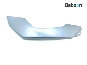 Kontpaneel BMW F 800 GS 2008-2012 (F800GS 08) (7704413), Verzenden, Gebruikt