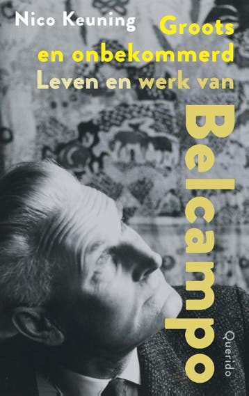 Groots En Onbekommerd | Nico Keuning | Nieuw, Ophalen of Verzenden, Nieuw, Nico Keuning