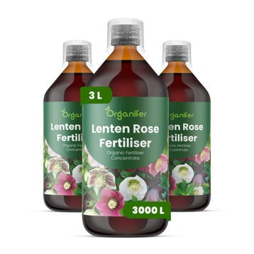 Lenteroos Vloeibare Meststof - Set 3x1 liter, Verzenden, Mest