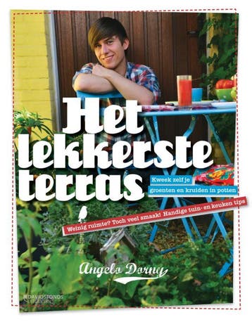 Het lekkerste terras - Angelo Dorny 9789058269348, Verzenden, Gelezen, Angelo Dorny