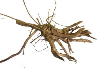 Driftwood Selected DW27 - 45x23x15cm (Small drift wood), Dieren en Toebehoren, Vissen | Aquaria en Toebehoren, Ophalen of Verzenden
