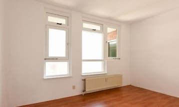Te Huur 2 Kamer Appartement Columbusstraat In Den Haag, Huizen en Kamers, Huizen te huur, Den Haag, Den Haag, Direct bij eigenaar