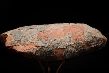 Dinosaurus - Gefossiliseerd ei - Oviraptor sp. - 18 cm - 9