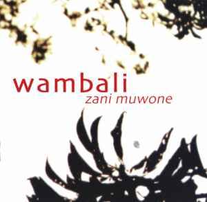 cd - Wambali Mkandawire - Zani Muwone, Verzenden, Zo goed als nieuw