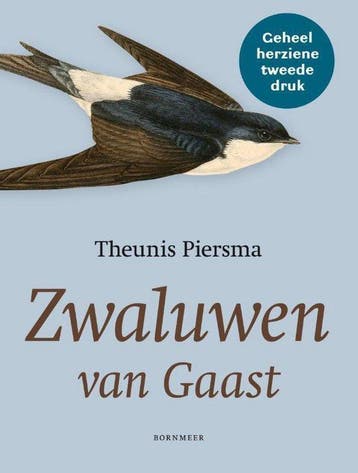 9789056154295 Zwaluwen van Gaast Theunis Piersma, Verzenden, Nieuw, Theunis Piersma