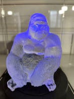 CQFD - Artiste professionnel - Primal Hologram