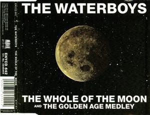 cd single - The Waterboys - The Whole Of The Moon, Verzenden, Zo goed als nieuw, Rock en Metal