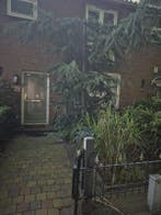 Appartement Johan van Oldenbarneveldtlaan in Uithoorn, Noord-Holland, Uithoorn, Appartement