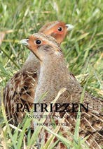 9789403693613 Patriezen Harm Jan Kerssies, Boeken, Verzenden, Nieuw, Harm Jan Kerssies