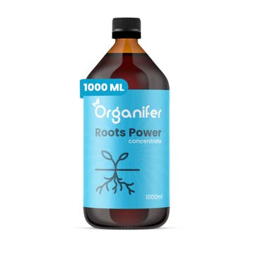 Wortelstimulator - Roots Power Concentraat - 1000 ml, Verzenden, Mest