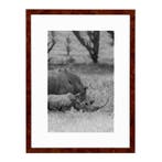 Wissellijst A2 Wortelnoten, Ophalen of Verzenden, Nieuw