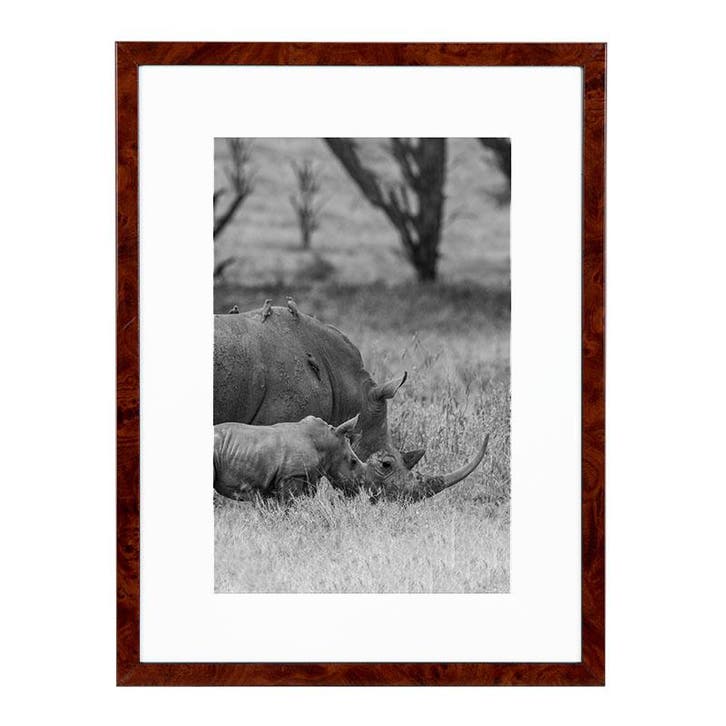 Wissellijst A2 Wortelnoten, Huis en Inrichting, Woonaccessoires | Lijsten, Ophalen of Verzenden