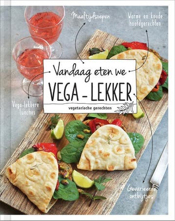 Vandaag eten we vega-lekker 9789463339667 Floor Van Dinteren, Verzenden, Zo goed als nieuw, Floor Van Dinteren