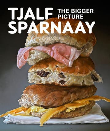 Tjalf Sparnaay - The Bigger Picture | Nieuw, Ophalen of Verzenden, Nieuw, Karin Lieverloo; Simon McKeown