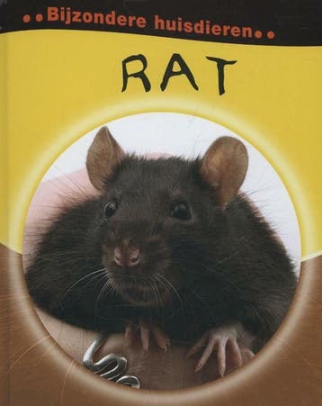 Rat / Bijzondere huisdieren - Deborah Chancellor, Verzenden, Zo goed als nieuw, Deborah Chancellor