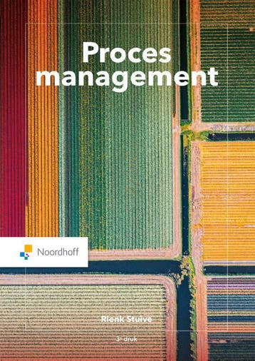 Procesmanagement - Rienk Stuive 9789001078386, Verzenden, Zo goed als nieuw, Rienk Stuive