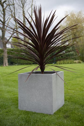 Cube M 50x50x50 cm Grey, Tuin en Terras, Verzenden, Nieuw, Vierkant, Beton