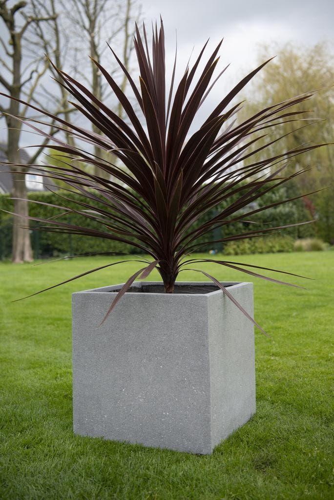 Cube M 50x50x50 cm Grey, Tuin en Terras, Bloembakken en Plantenbakken, Nieuw, Beton, Vierkant, Verzenden