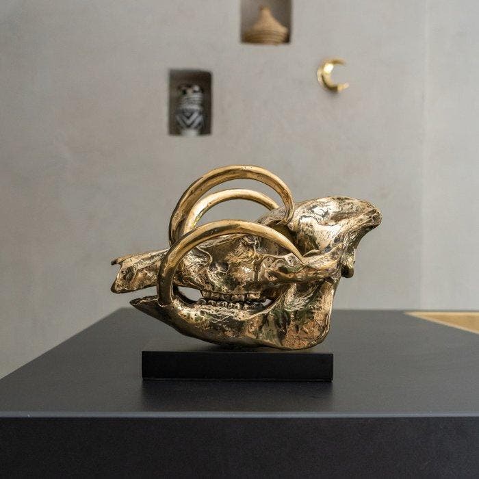 Sooka Interior - sculptuur, Sooka Interior - Babirusa Skull, Antiek en Kunst, Kunst | Designobjecten