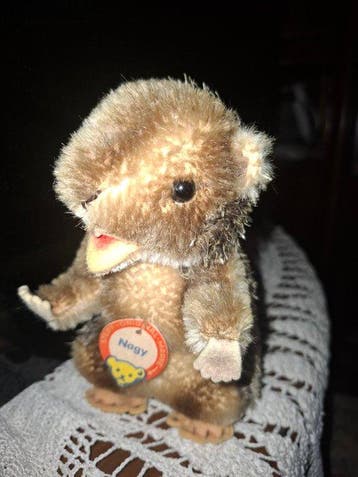 Steiff - Pluche dier Nagy - 1950-1960 - Duitsland