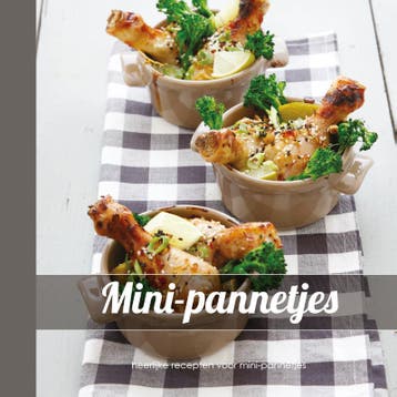 Mini-pannetjes - Aram van Beek 9789044339239, Verzenden, Zo goed als nieuw, Aram van Beek
