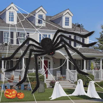 Enorme Pluche Spin Halloween Decoratie - 30cm tot 200cm, Verzenden, Nieuw
