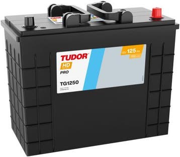 Tudor HD Pro accu | TG1250 | 12V 125Ah, Ophalen of Verzenden, Nieuw