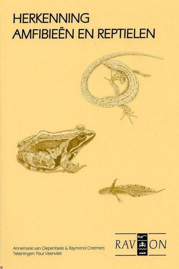 Herkenning Amfibieen En Reptielen - A. van Diepenbeek, Boeken, Verzenden, Zo goed als nieuw, A. van Diepenbeek
