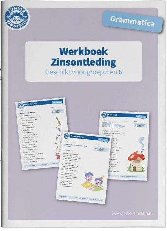 9789492265951 Zinsontleding Werkboek Grammatica voor groe..., Boeken, Schoolboeken, Zo goed als nieuw, Verzenden