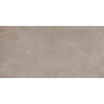 Aleluia Avenue - Taupe - Vloertegel - 30x60cm - Mat - P3047, 40 tot 60 cm, Nieuw, Ophalen of Verzenden, 10 m² of meer