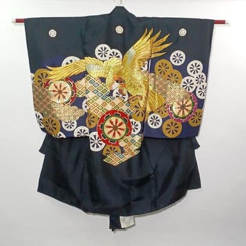 Vintage Japanse Shichi-Go-San feestelijke meisjeskimono met