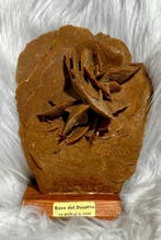 woestijnroos Ruw - Hoogte: 16 cm - Breedte: 12 cm- 852 g -