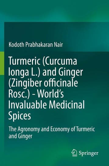 9783030291914 Turmeric Curcuma longa L and Ginger Zingibe..., Verzenden, Nieuw, Kodoth Prabhakaran Nair