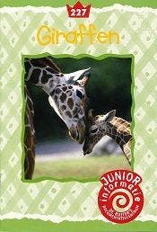 De Ruiters Junior informatie 227 Giraffen, Verzenden, Nieuw