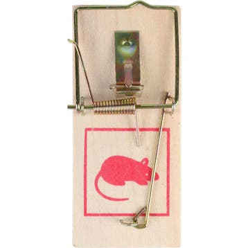 Talen Tools Houten Muizenval Set - Effectieve Muizenbestr...