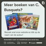 De kerststal / Kerstmis pop-up / N4125/2 9789041203281, Verzenden, Gelezen, C. Busquets