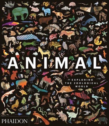 9780714876818 Animal: Exploring the Zoological World, Verzenden, Nieuw, Phaidon Editors