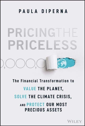 Pricing the Priceless - Paula Diperna 9781119913801, Verzenden, Zo goed als nieuw, Paula Diperna