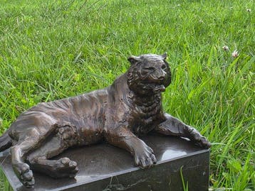 Beeld, Bronze Tiger Sculpture - Handcrafted Wildlife Artwork