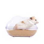 Grote Hamster Gerbil Kunststof Zandbak - Afgesloten Huisje B, Verzenden, Nieuw