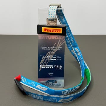Ferrari - Gran Premio di Monza - Charles Leclerc - 2022 -, Nieuw